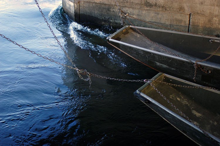 click image to enter dnik.ch