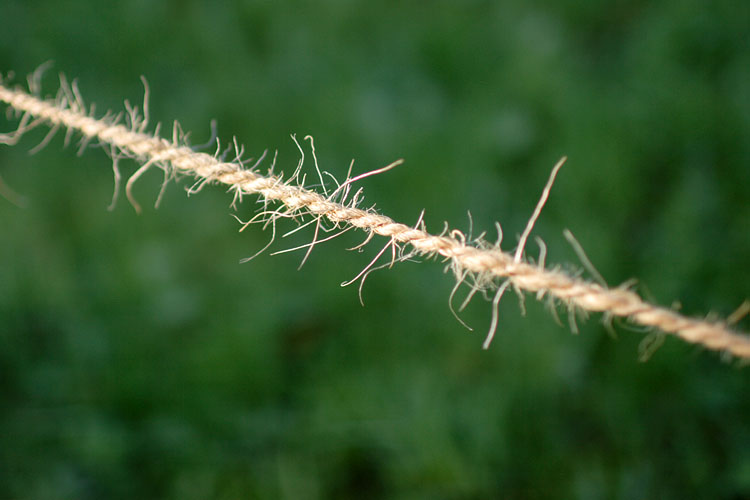 click image to enter dnik.ch