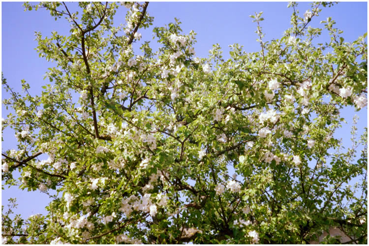 Photo by Dragan Nikolic, Zürich, Switzerland