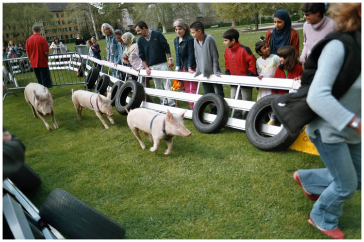 Photo by Dragan Nikolic, Zürich, Switzerland