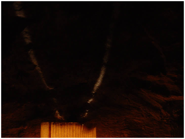 Honeyryder Record Release Party