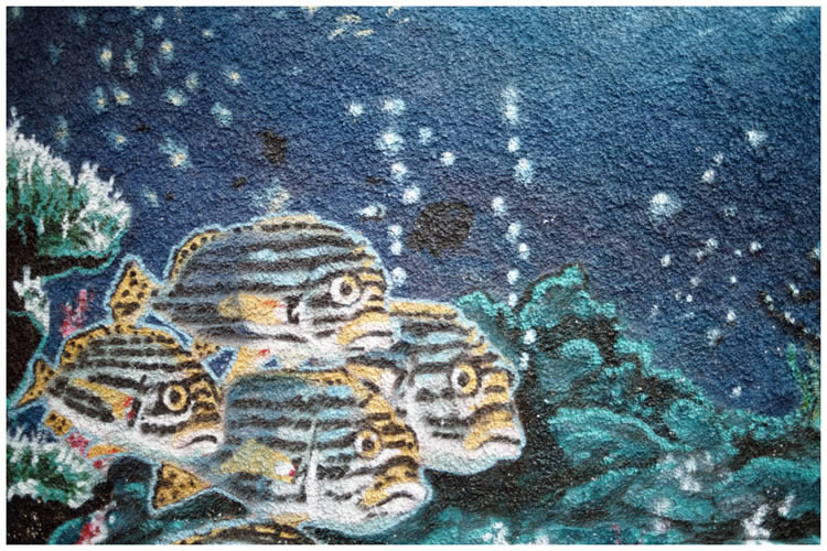 Photo by Dragan Nikolic, Zürich, Switzerland